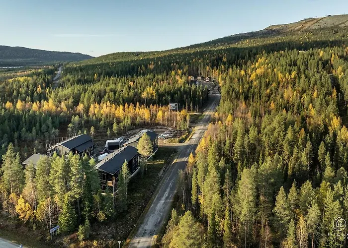 Levin Lyhty Camilla C4 By Hilla * Levi