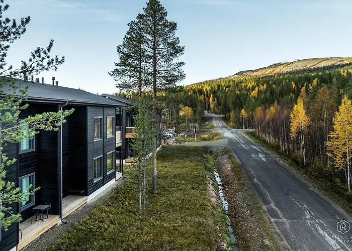 Levin Lyhty Camilla C4 By Hilla *