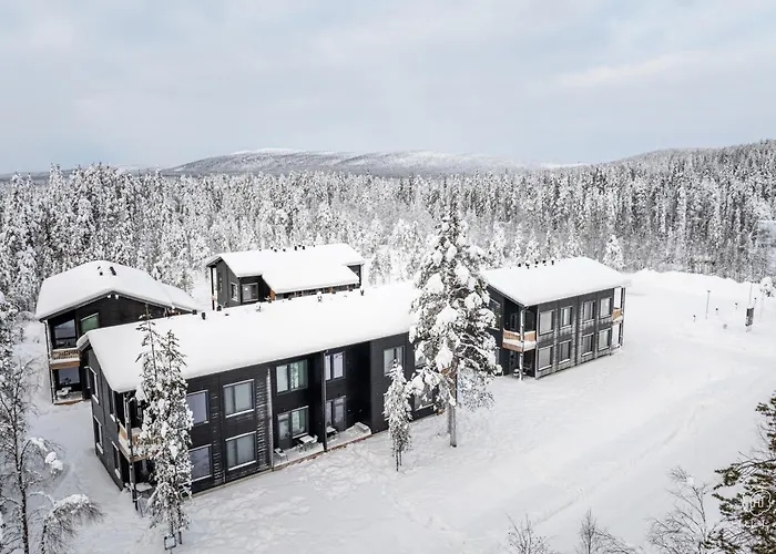 Levin Lyhty Camilla C4 By Hilla